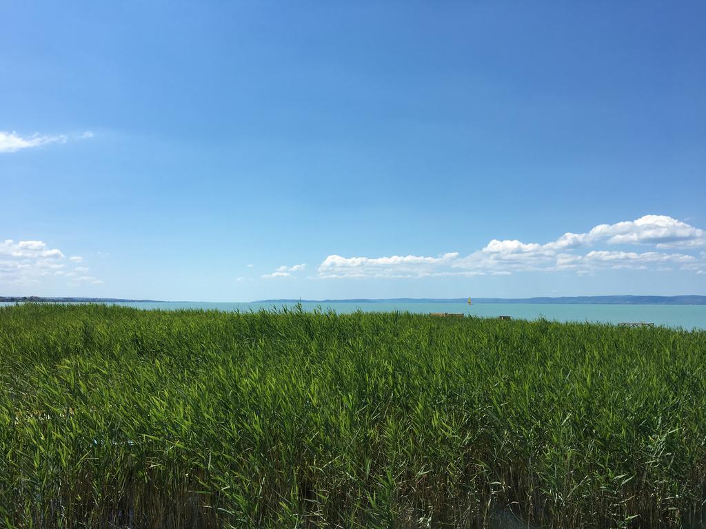 Residence At Lake Balaton Шиофок Экстерьер фото